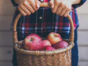 basket of apples