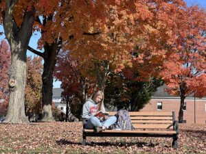 student studying on best in fall