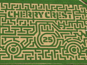 Cherry Crest's corn maze in 2000.